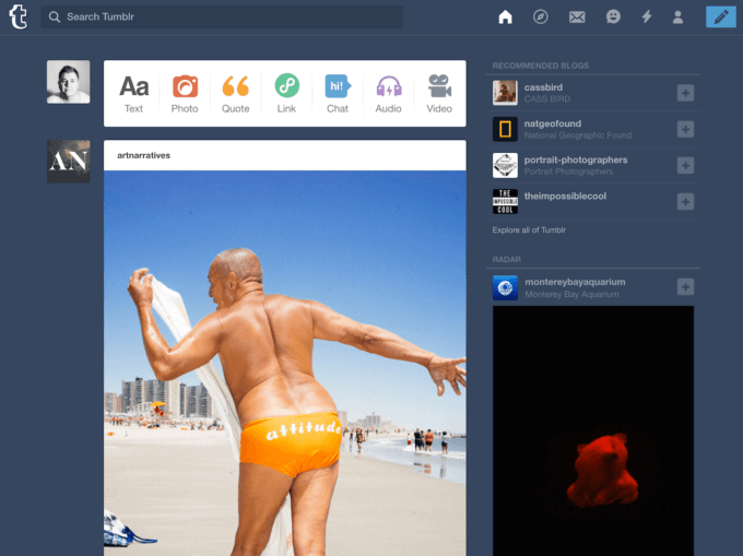 The REAL Tumblr interface.